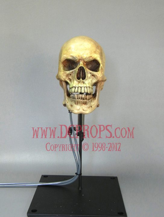 Talking Skull - Added Head Turn & Jaw Movements