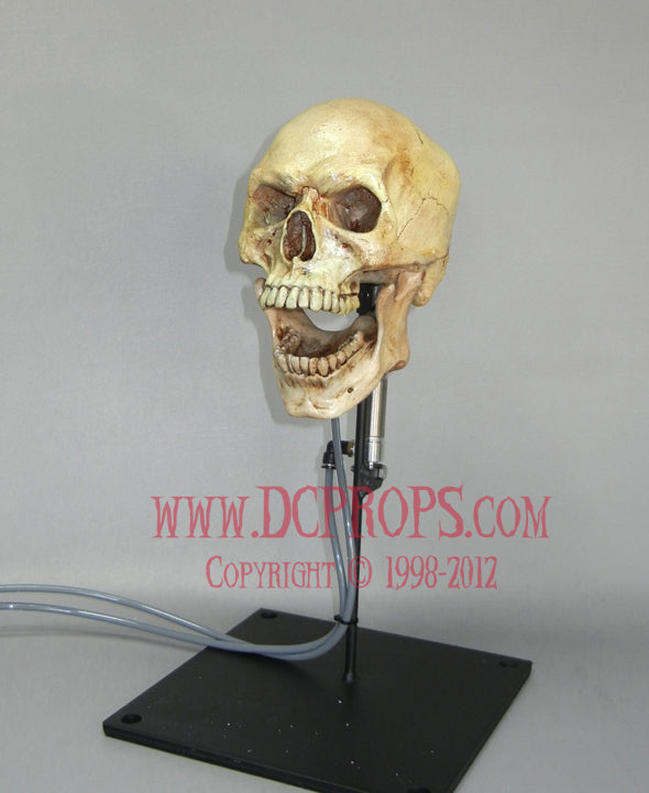 Talking Skull - Added Head Turn & Jaw Movements