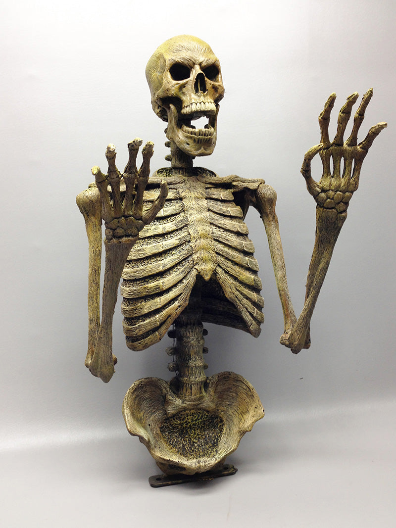 DC Skeleton 