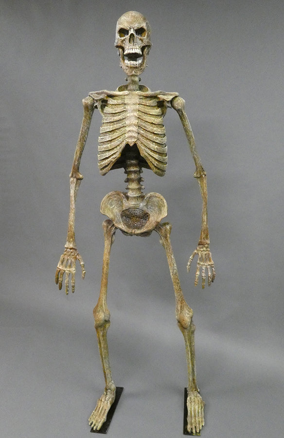 DC Skeleton "Full" w/ posable arms & Legs