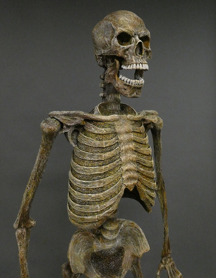 DC Skeleton 