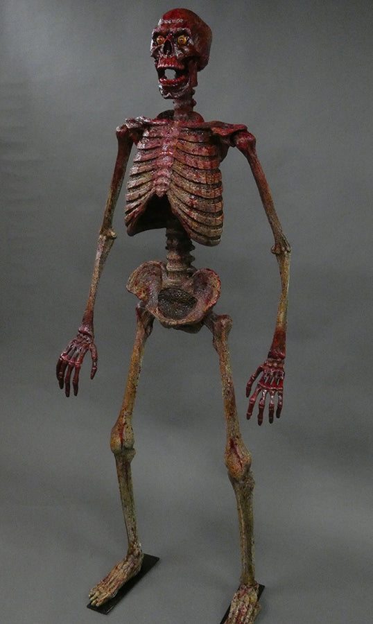 DC Skeleton "Full" w/ posable arms & Legs