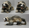 Can'd Coon - Raccoon Animation